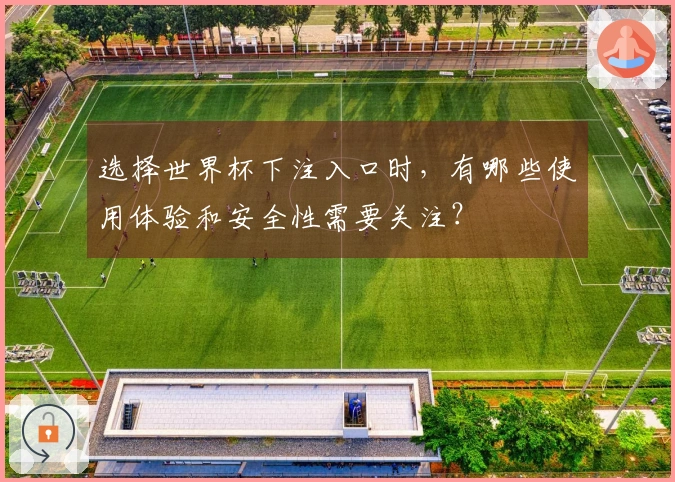 选择世界杯下注入口时，有哪些使用体验和安全性需要关注？