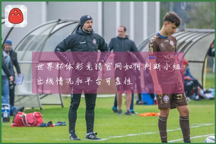 世界杯体彩竞猜官网如何判断小组出线情况和平台可靠性