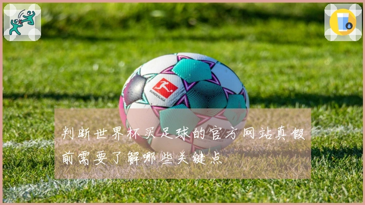 判断世界杯买足球的官方网站真假前需要了解哪些关键点