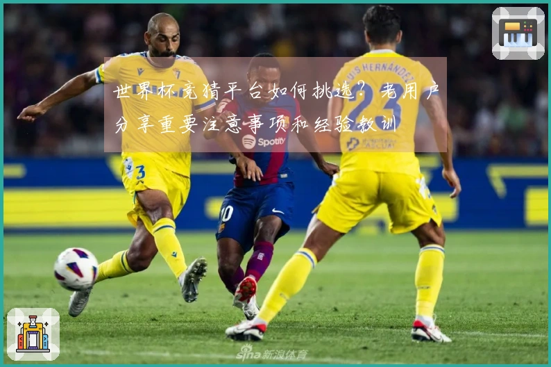 世界杯竞猜平台如何挑选？老用户分享重要注意事项和经验教训