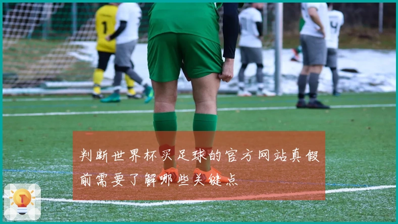 判断世界杯买足球的官方网站真假前需要了解哪些关键点